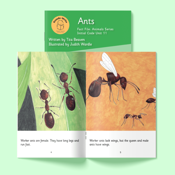 Page from the book 'Ants'. Text on the page reads: Worker ants are female. they have Long legs and run fast. Worker ants lack wings, but the queen and male ants have wings.